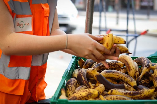 Zoom sur une bénévole qui trie des bananes abimés sur un marché