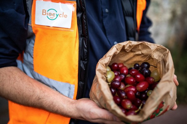 Zoom sur un bénévole Biocycle qui tient un sac de raisins, collecté sur un marché.